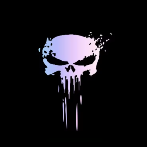 STICKER - PUNISHER (2 PACK)