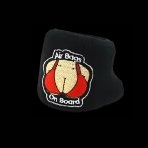 AIR BAGS - RESERVOIR COVER