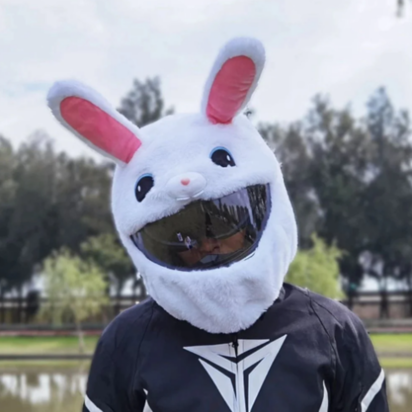 MOTORCYCLE HELMET COVER - BUNNY